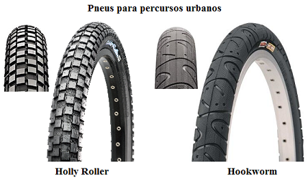 Fig33-holly roller-hookworm-urban-450px