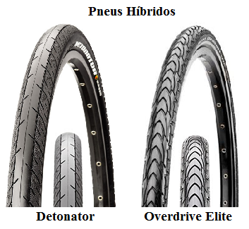 Fig34-Hibridos_maxxis